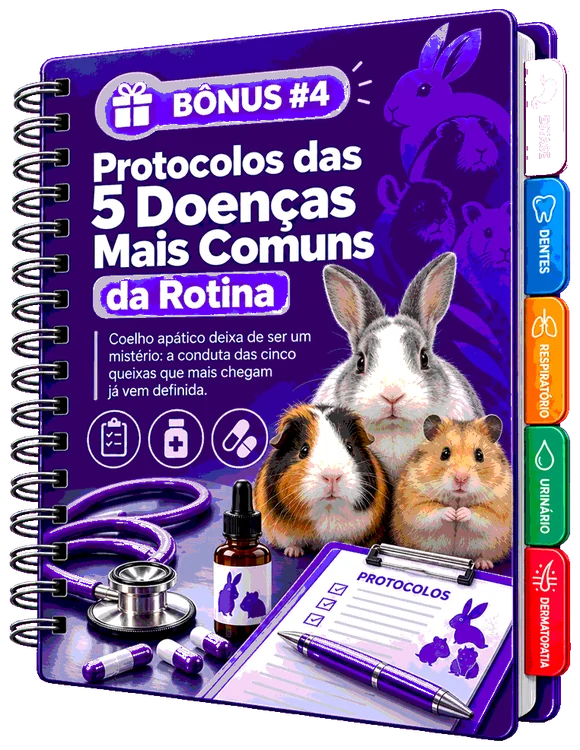 Bônus 4 — Protocolos das 5 Doenças Mais Comuns