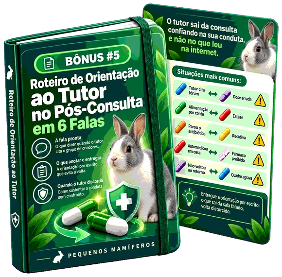 Bônus 5 — Roteiro de Orientação ao Tutor