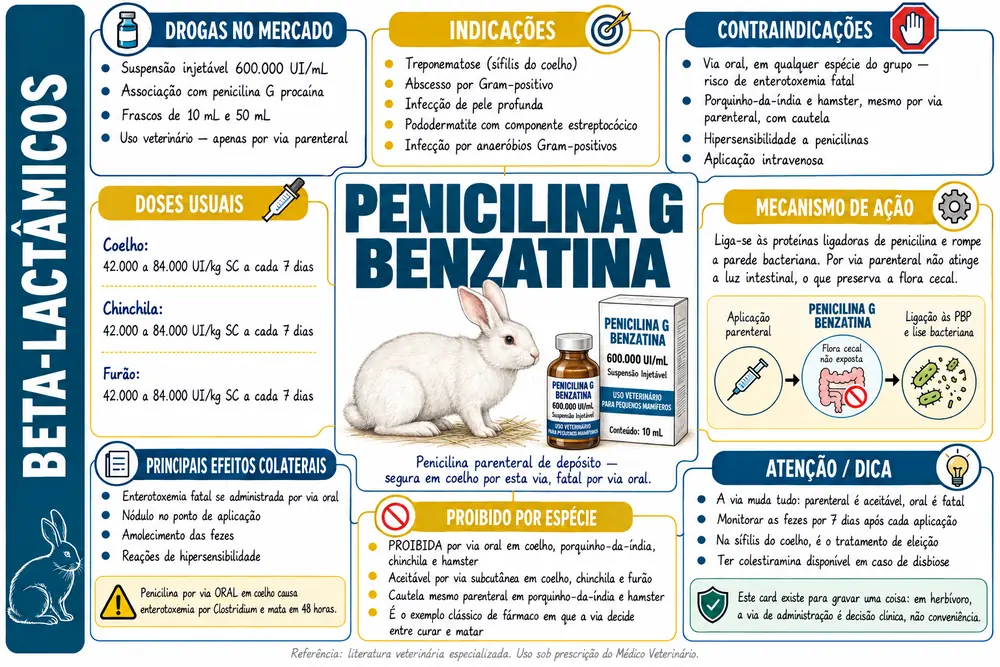 Penicilina g benzatina