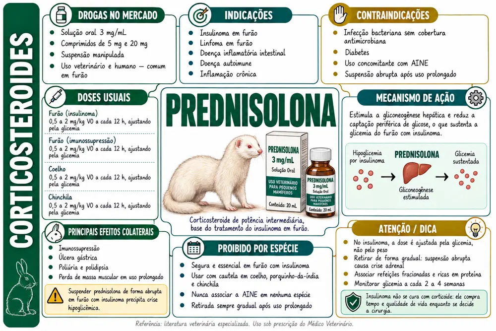 Prednisolona